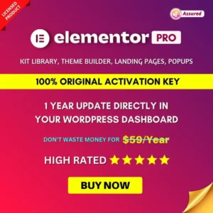 Elementor Pro